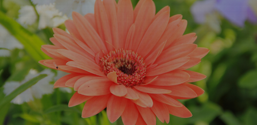 Pixel Filter PC screenshot