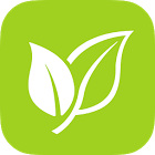 Pollen for PC Pollen for PC
