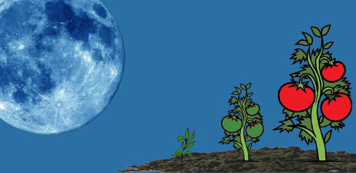 Moon Calendar - legacy PC screenshot