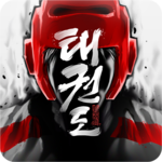 Taekwondo Game icon