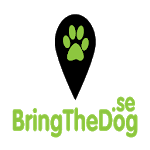 bringthedog icon