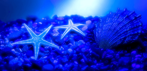 Sea Life Video Wallpapers PC screenshot