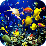 Sea Life Video Wallpapers for PC