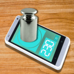 Scales. Meter weight simulator for PC