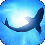 White Shark Video Wallpapers for PC White Shark Video Wallpapers for PC