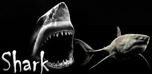 Shark 4K Video Live Wallpaper PC screenshot Shark 4K Video Live Wallpaper PC screenshot