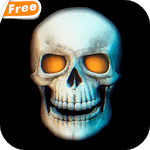 Skull 3D Video Theme Wallpaper for PC Skull 3D Video Theme Wallpaper for PC