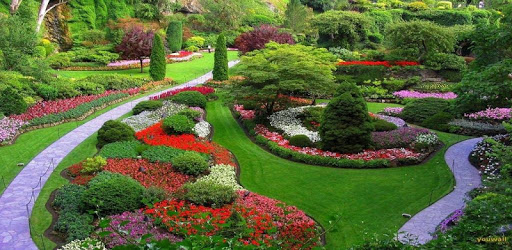 Landscaping Design PC screenshot