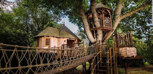 Treehouse PC screenshot Treehouse PC screenshot