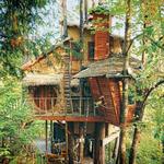 Treehouse for PC Treehouse for PC