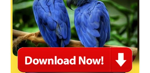 Video Downloader 2021 - All Video Downloader New PC screenshot Video Downloader 2021 - All Video Downloader New PC screenshot
