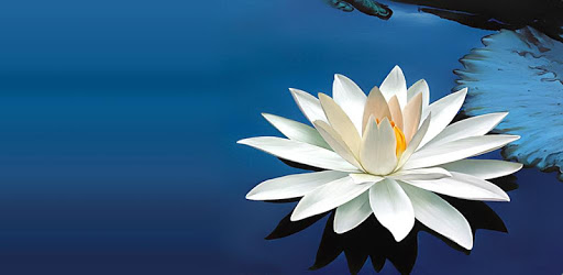 Lokaniti (Guide for life) PC screenshot Lokaniti (Guide for life) PC screenshot