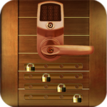 Attractive Door Lock Screen for PC