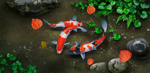KOI Lucky Fish Live Wallpaper PC screenshot KOI Lucky Fish Live Wallpaper PC screenshot
