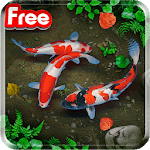 KOI Lucky Fish Live Wallpaper icon