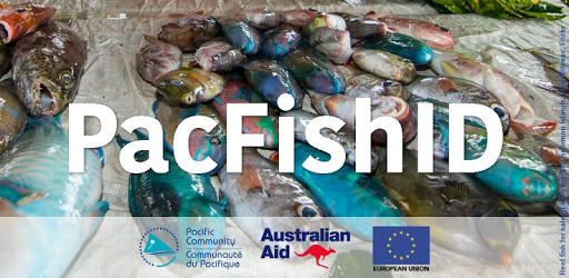 PacFishID PC screenshot