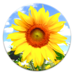 How To Be Happy Quotes for PC How To Be Happy Quotes for PC