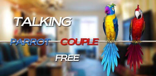Talking Parrot Couple Free PC screenshot