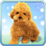 Talking Teddy Dog for PC Talking Teddy Dog for PC