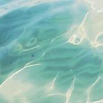 Sounds of sea and forest - Sounds for relaxation for PC