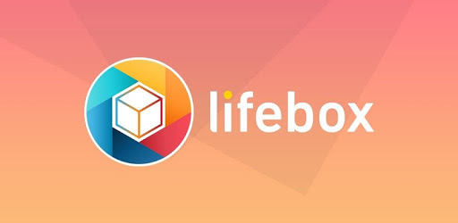 lifebox PC screenshot