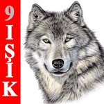 Alparslan Türkeş and the Nine Light Doctrine for PC Alparslan Türkeş and the Nine Light Doctrine for PC