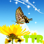 live wallpapers butterfly for PC