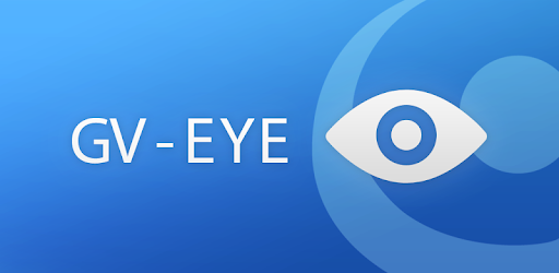 GV-Eye PC screenshot