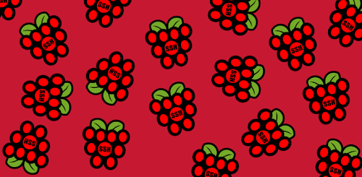 Raspberry SSH Lite SSH Buttons PC screenshot Raspberry SSH Lite SSH Buttons PC screenshot