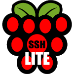 Raspberry SSH Lite SSH Buttons for PC Raspberry SSH Lite SSH Buttons for PC