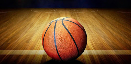 Basketball Stars Pro Sport PC screenshot