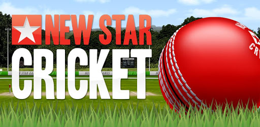 New Star Cricket PC screenshot