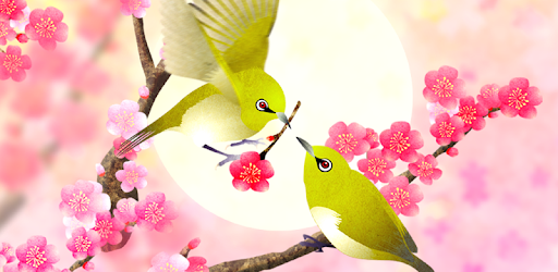 Plum-Blossom and White-Eye Tri PC screenshot Plum-Blossom and White-Eye Tri PC screenshot