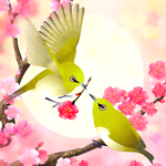 Plum-Blossom and White-Eye Tri icon