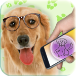 Translate to dog's language icon