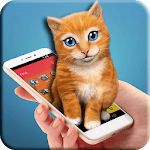Sweet cat inside phone for PC