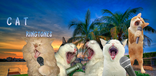 Cat Ringtones PC screenshot Cat Ringtones PC screenshot