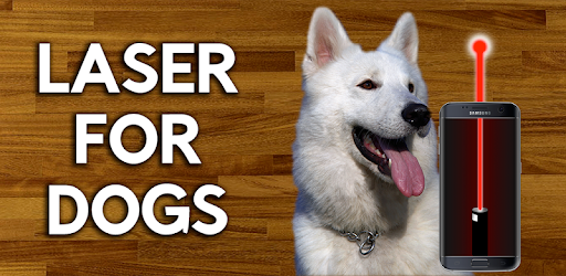 Play with dog using a laser! PC screenshot Play with dog using a laser! PC screenshot