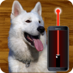 Play with dog using a laser! for PC Play with dog using a laser! for PC