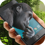 Monkey in phone for PC Monkey in phone for PC