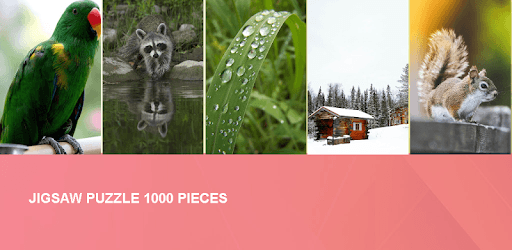 Top Jigsaw Puzzle 1000 Pieces PC screenshot Top Jigsaw Puzzle 1000 Pieces PC screenshot