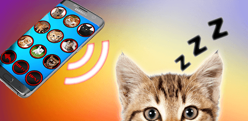 Cat sounds as lullaby for cats PC screenshot Cat sounds as lullaby for cats PC screenshot