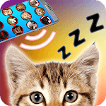 Cat sounds as lullaby for cats for PC Cat sounds as lullaby for cats for PC