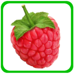 Kids Learning Fruits & Veggies for PC