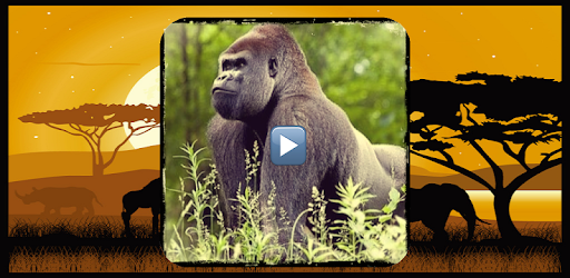 Animal documentaries online PC screenshot Animal documentaries online PC screenshot