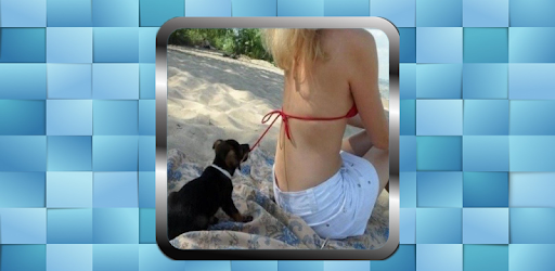 Free funny videos PC screenshot