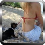 Free funny videos for PC