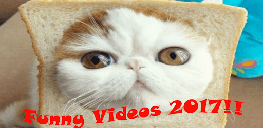 Funny Videos and Funny Jokes PC screenshot Funny Videos and Funny Jokes PC screenshot