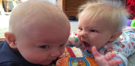 Funny Baby Videos PC screenshot