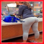 Free Funny Videos for Whatsapp for PC Free Funny Videos for Whatsapp for PC